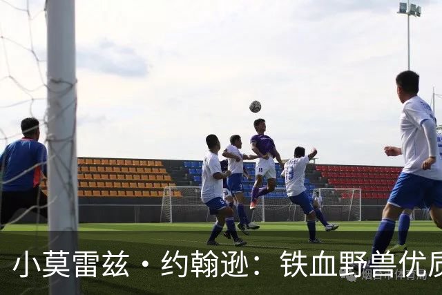 小莫雷兹·约翰逊：铁血野兽优质冠军拼图 开发三分顺位直逼乐透